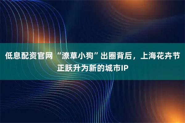 低息配资官网 “潦草小狗”出圈背后，上海花卉节正跃升为新的城市IP